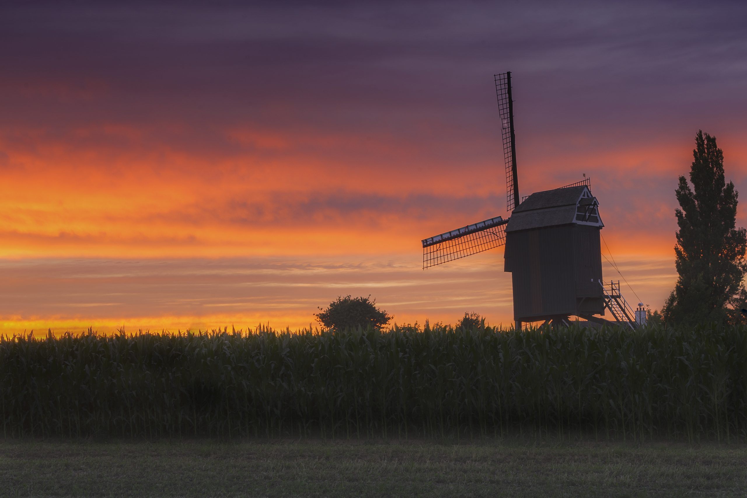 windmill sunset