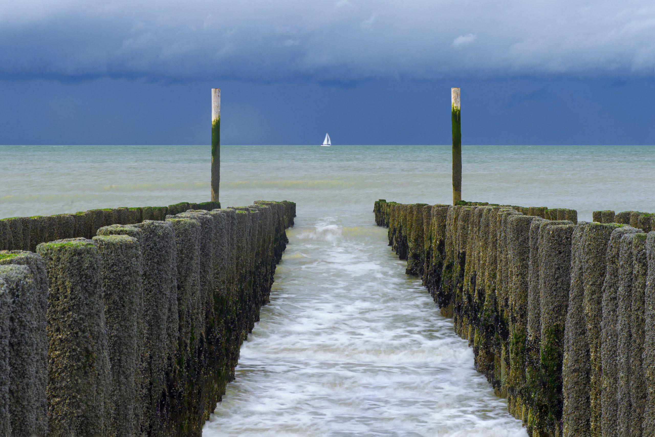 staring at the sea Pt1